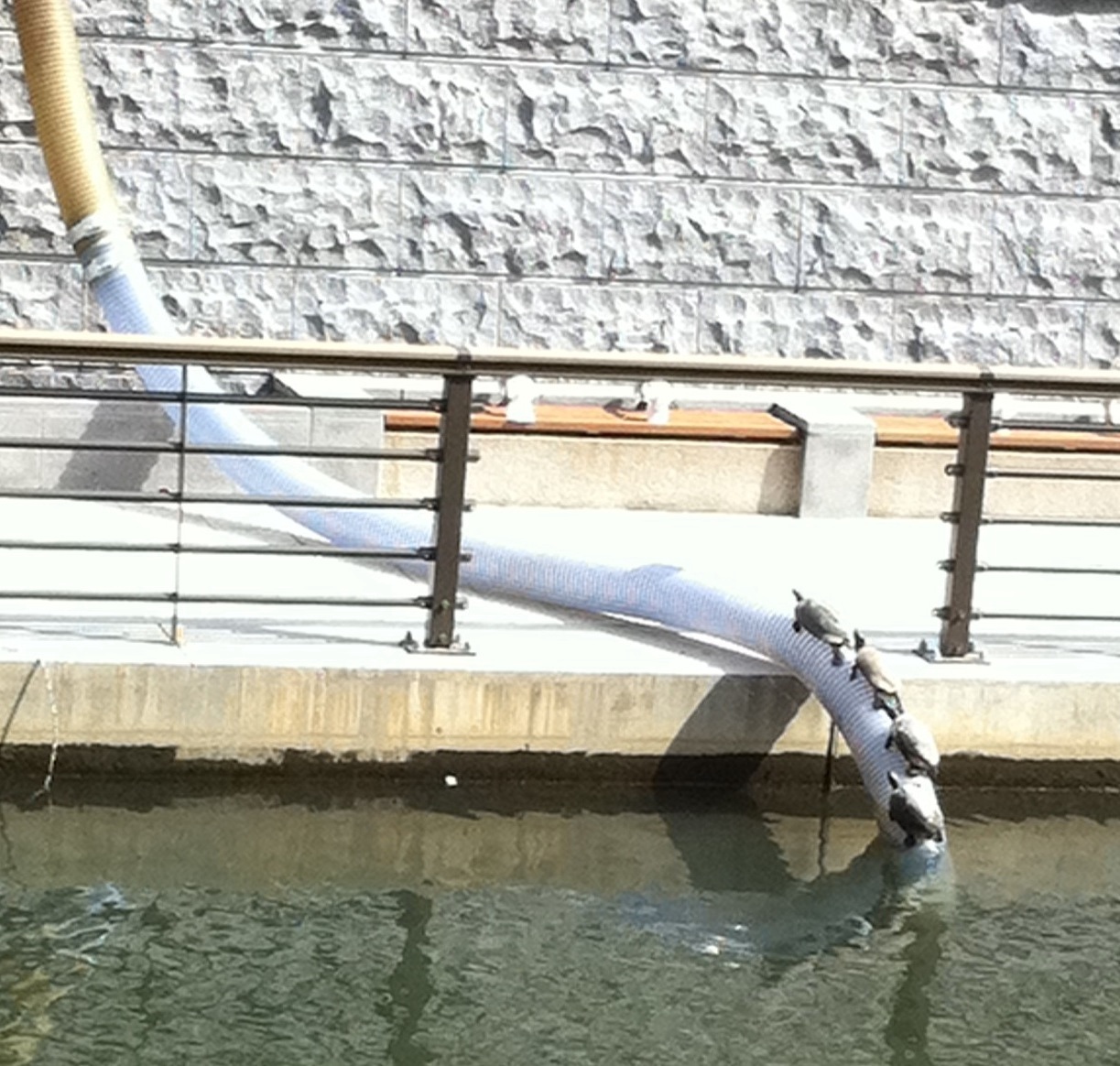 20110507-012102.jpg