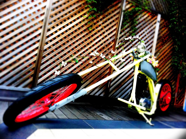 20110614-012951.jpg