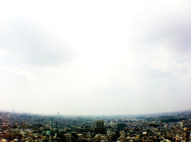 20110817-034424.jpg
