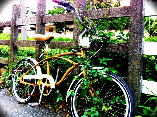 20110828-115850.jpg