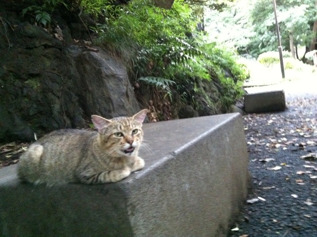 20110829-110523.jpg