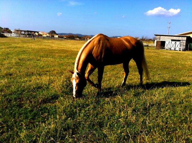20111001-125308.jpg