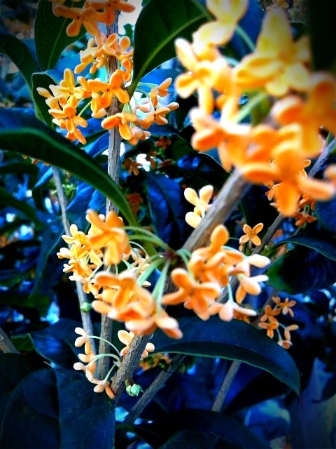 20111007-030647.jpg