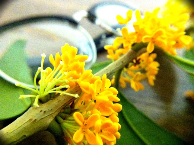 20111019-020430.jpg