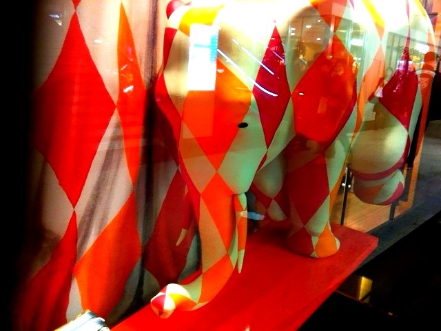 20111208-092836.jpg