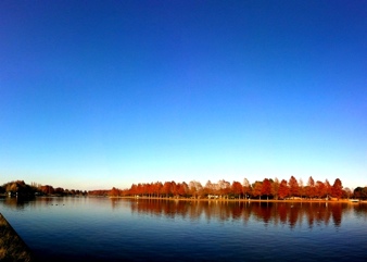 20111221-060954.jpg