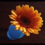 20120509-054509.jpg