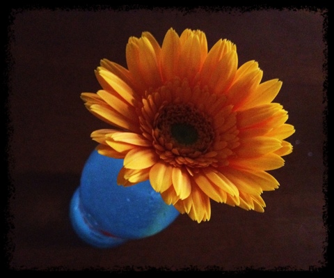 20120509-054509.jpg